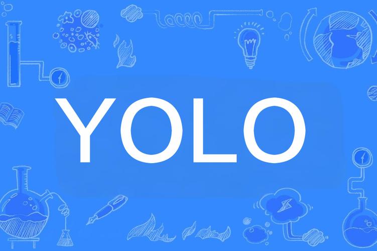 Ultralytics YOLO 入门实践