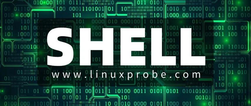 shell脚本中的引号
